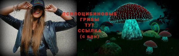 ГАЛЛЮЦИНОГЕННЫЕ ГРИБЫ Верхнеуральск
