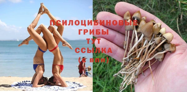 mdpv Волосово